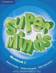 Super Minds Level 1 Workbook - Herbert Puchta (ISBN: 9780521148573)
