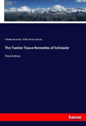 Twelve Tissue Remedies of Schussler - William Boericke, Willis Alonzo Dewey (ISBN: 9783337771379)