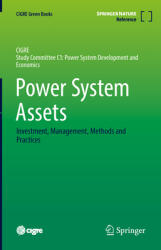 Power System Assets: Investment Management Methods and Practices (ISBN: 9783030855130)