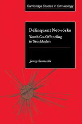 Delinquent Networks - Jerzy Sarnecki (2011)