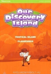 Our Discovery Island 1 Tropical Island Flashcards (ISBN: 9781408238493)