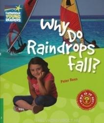 Why Do Raindrops Fall? Level 3 Factbook (2008)