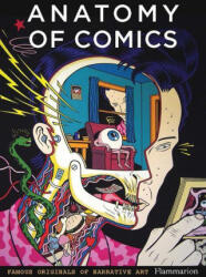 Anatomy of Comics (ISBN: 9782080281876)