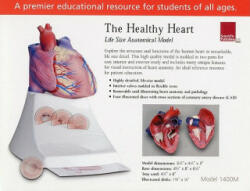 Healthy Heart - Scientific Publishing (2006)