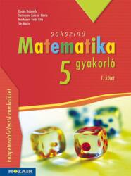 Sokszínű matematika gyakorló 5. - 1. kötet (ISBN: 9789636976798)