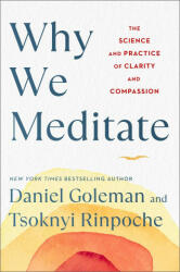 Why We Meditate - Tsoknyi Rinpoche (ISBN: 9781982178451)