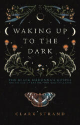 Waking Up to the Dark - Perdita Finn (ISBN: 9781948626729)