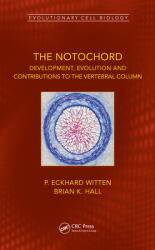 The Notochord: Development Evolution and Contributions to the Vertebral Column (ISBN: 9781498787918)
