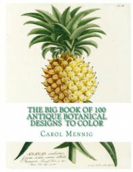The Big Book of 100 Botanical Designs to Color - Carol Elizabeth Mennig (ISBN: 9781517193256)