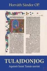 TULAJDONJOG AQUINÓI SZENT TAMÁS SZERINT (ISBN: 9789635350438)