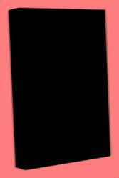 Jay Bonansinga The Walking Dead - Invázió (ISBN: 9789633951743)