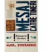 Mesaj catre tineri - Alex Stefanescu (ISBN: 9786065887480)