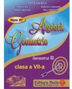 Auxiliar de Algebra si Geometrie - clasa a VII-a, sem II (ISBN: 9786065141551)