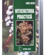 Viticultura practica (ISBN: 9789734006649)