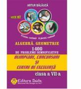 Olimpiade, concursuri si centre de excelenta - Clasa a VII-a - Algebra. Geometrie (ISBN: 9786065142503)