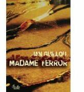Madame Terror - Jan Guillou (ISBN: 9789736693441)