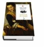 Singur pe lume volumul II - Hector Malot (ISBN: 9789975699457)