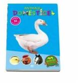Animale domestice (ISBN: 9789731972367)