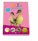 Pui de animale (ISBN: 9789731972374)