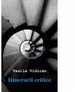 Itinerarii critice - Vasile Vidican (ISBN: 9786068699103)