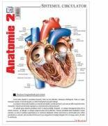 Pliant Anatomie 2 (ISBN: 9786065903579)
