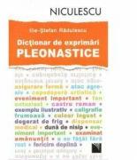 Dictionar de exprimari pleonastice (ISBN: 9789737487186)