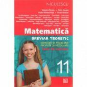 Matematica - clasa a XI-a (M1). Breviar teoretic cu exercitii si probleme propuse si rezolvate - Petre Simion (ISBN: 9789737487780)