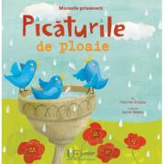 Minunile primaverii - Picaturile de ploaie - Charles Ghigna (ISBN: 9786067045796)