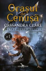 Orasul De Cenusa (ISBN: 9786069740064)