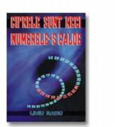 Cifrele sunt reci, numerele sunt calde - Liviu Radu (ISBN: 9789739925167)
