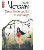 De ce fierbe copilul in mamaliga - Aglaja Veteranyi (ISBN: 9789734660094)