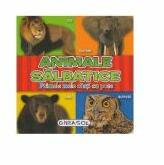 ANIMALE SALBATICE - Primele mele carti cu poze (ISBN: 9786065256279)