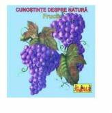 Carti pliante mici - Fructe (ISBN: 9789739382601)