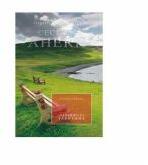DISPARUTI FARA URMA - Cecelia Ahern (ISBN: 9789737241870)