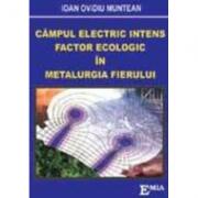 Campul electric intens, Factor ecologic in metalurgia fierului - Ioan Ovidiu Muntean (ISBN: 9789739425612)