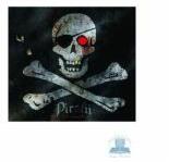 Piratii - John Matthews (ISBN: 9789737171559)