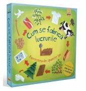 Cum se fabrica lucrurile - Christiane Dorion (ISBN: 9789731493794)