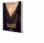 Cercurile mistice - Nicoleta Tudor (ISBN: 9786069431108)