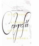 Caligrafii - Lucia Turcanu (ISBN: 9789975861915)