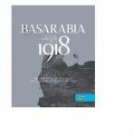Basarabia in actul Marii Uniri de la 1918 - Ion Turcanu, Mihai Papuc (ISBN: 9789975851015)
