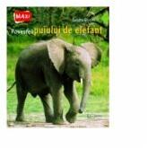 Povestea puiului de elefant - Sandra Grimm (ISBN: 9786067042993)