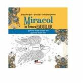Miracol in lumea emotiilor - Dragos Iulian Matei, Bianca Nita, Paula-Steluta Dobrinoiu (ISBN: 9786067063363)
