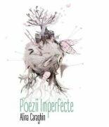 Poezii Imperfecte - Alina Caraghin (ISBN: 9786068953557)