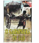 O garsoniera in iad - Ecaterina Oproiu (ISBN: 9786061509720)