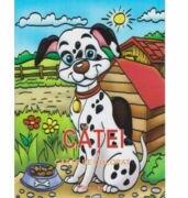 Catei. Carte de colorat (ISBN: 9786065490918)