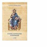 Icoana, iconologie, iconomahie - Pr. Nicolae Chifar (ISBN: 9786062902117)