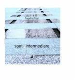 Spatii intermediare - Angelica Stan (ISBN: 9786066646574)