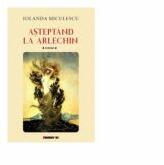 Asteptand la Arlechin - Iolanda Miculescu (ISBN: 9786067117844)