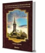 Pe urmele Neamului Barsanilor: de la Cnezii si Voievozii Barsan la Ion Creanga - Cornel Birsan (ISBN: 9786068894515)