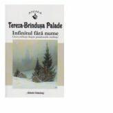 Infinitul fara nume. Cateva reflectii despre paradoxurile credintei - Tereza-Brindusa Palade (ISBN: 9789731415307)